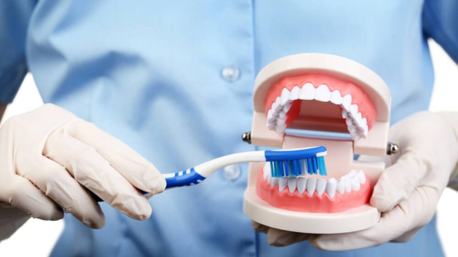 Preventive Dentistry in Hamilton ON